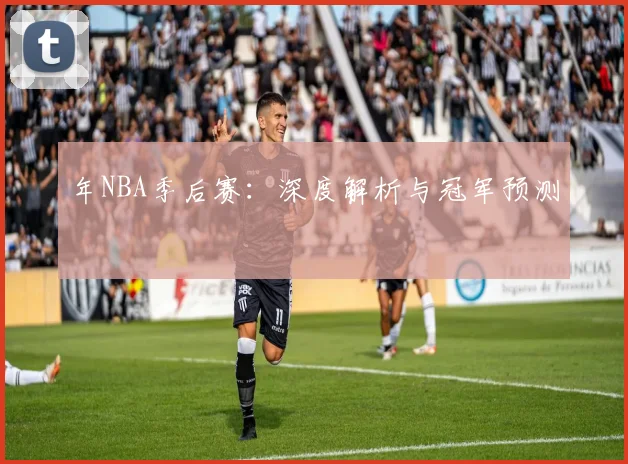 年NBA季后赛：深度解析与冠军预测