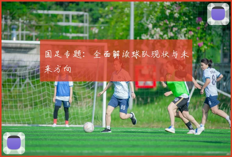 国足专题：全面解读球队现状与未来方向