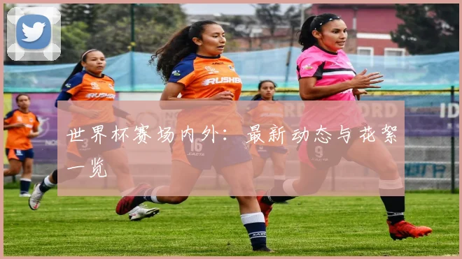 世界杯赛场内外：最新动态与花絮一览