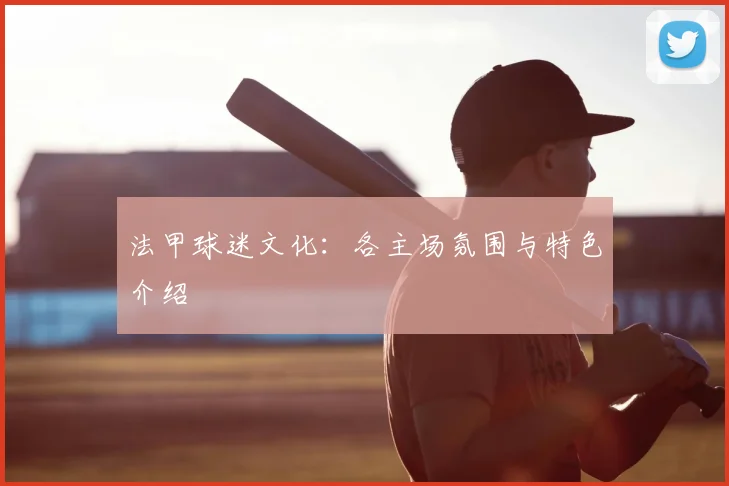 法甲球迷文化：各主场氛围与特色介绍