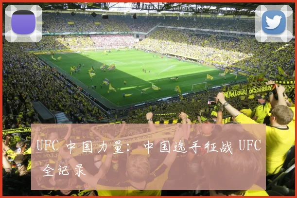 UFC 中国力量：中国选手征战 UFC 全记录
