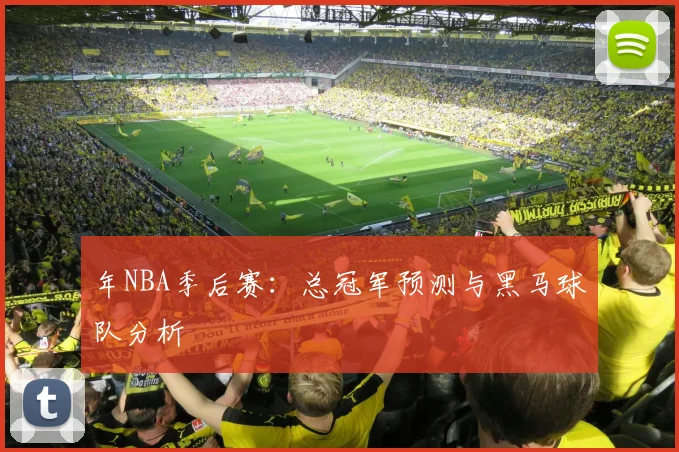 年NBA季后赛：总冠军预测与黑马球队分析