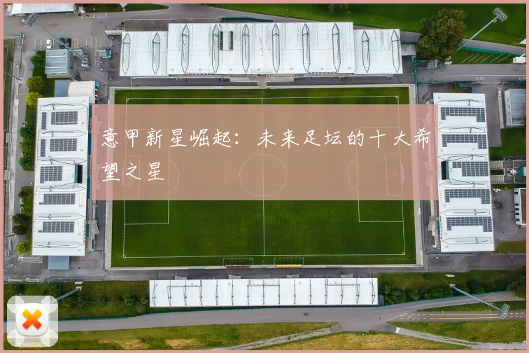 意甲新星崛起：未来足坛的十大希望之星