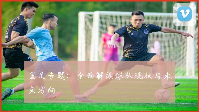 国足专题：全面解读球队现状与未来方向