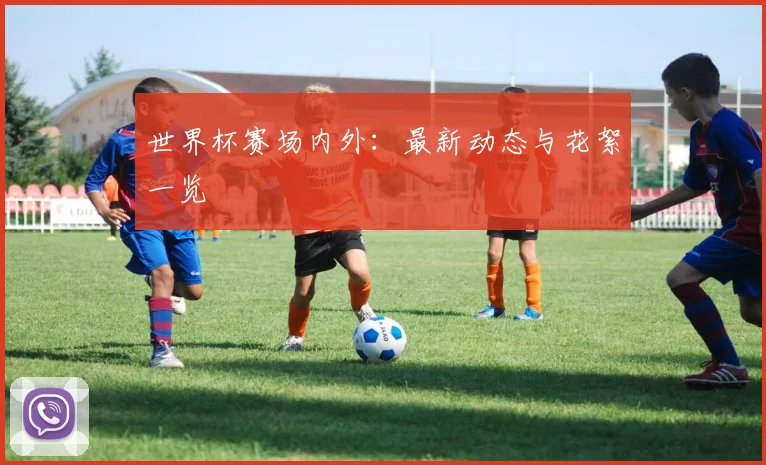 世界杯赛场内外：最新动态与花絮一览