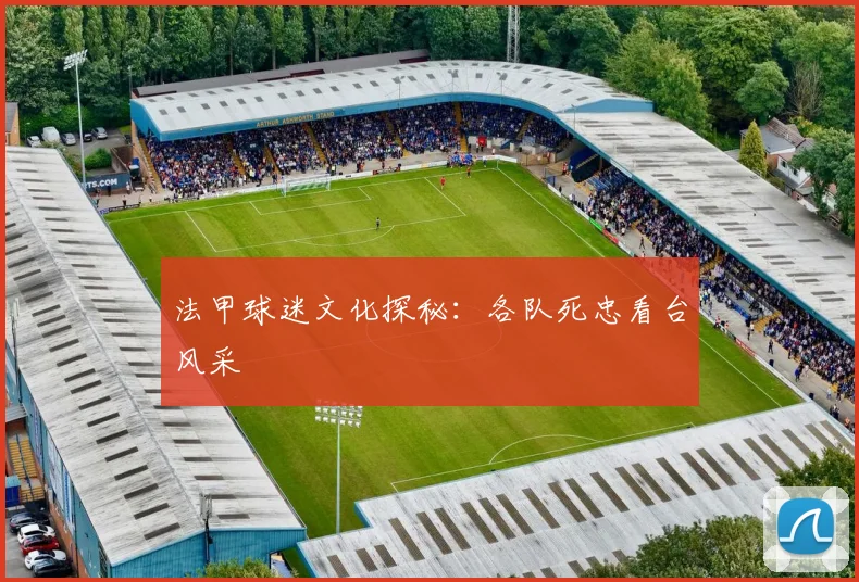 法甲球迷文化探秘：各队死忠看台风采